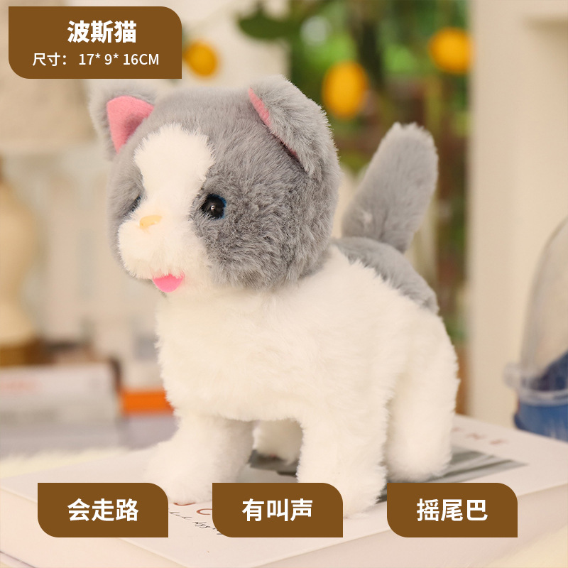 El gato persa (llamado común)