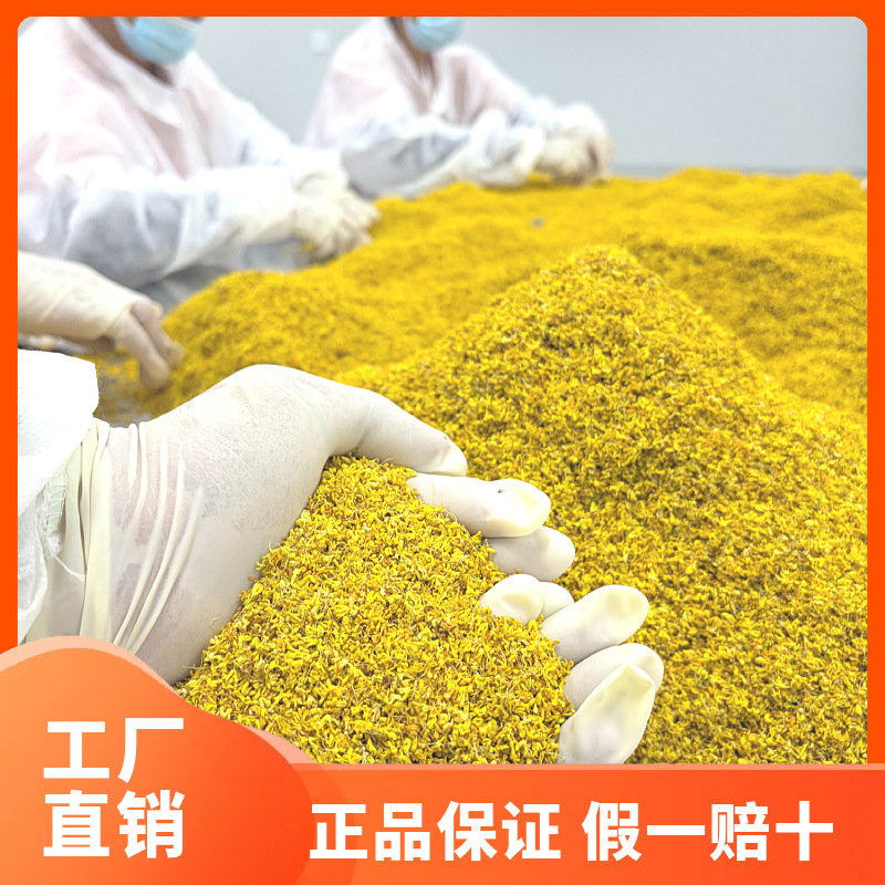 Guangxi Guilin Bulk Fragrant Dried Osmanthus Flowers 500g Fresh Edible Baked Golden Osmanthus Tea for Brewing Wholesale Guangxi Guilin Bulk Fragrant Dried Osmanthus Flowers 500g Fresh Edible Baked Golden Osmanthus Tea for Brewing Wholesale