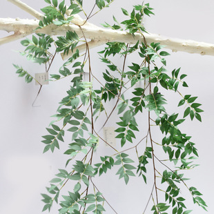 ���R�d�������~�ٗl�p�@���~�Ӿ껨�Gɫֲ����~��c�b��zӰ����