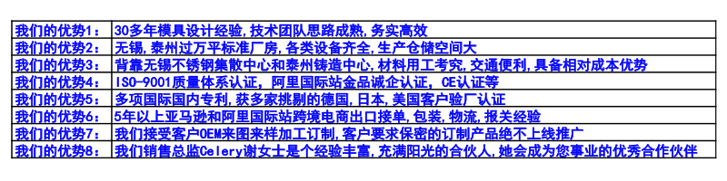Company advantage summary .jpg