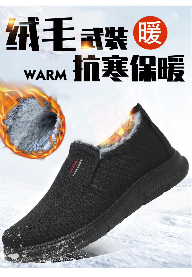 790_01.jpg