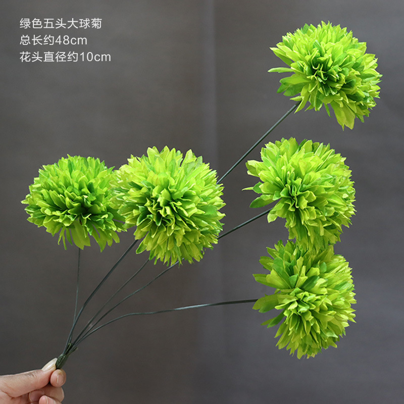 Crisantemo de cinco cabezas verde