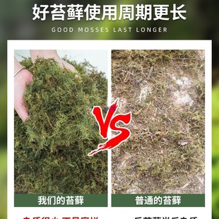�����mˮ̦�m������̦�\�����I�B����ֲ̦��Nֲ�����������