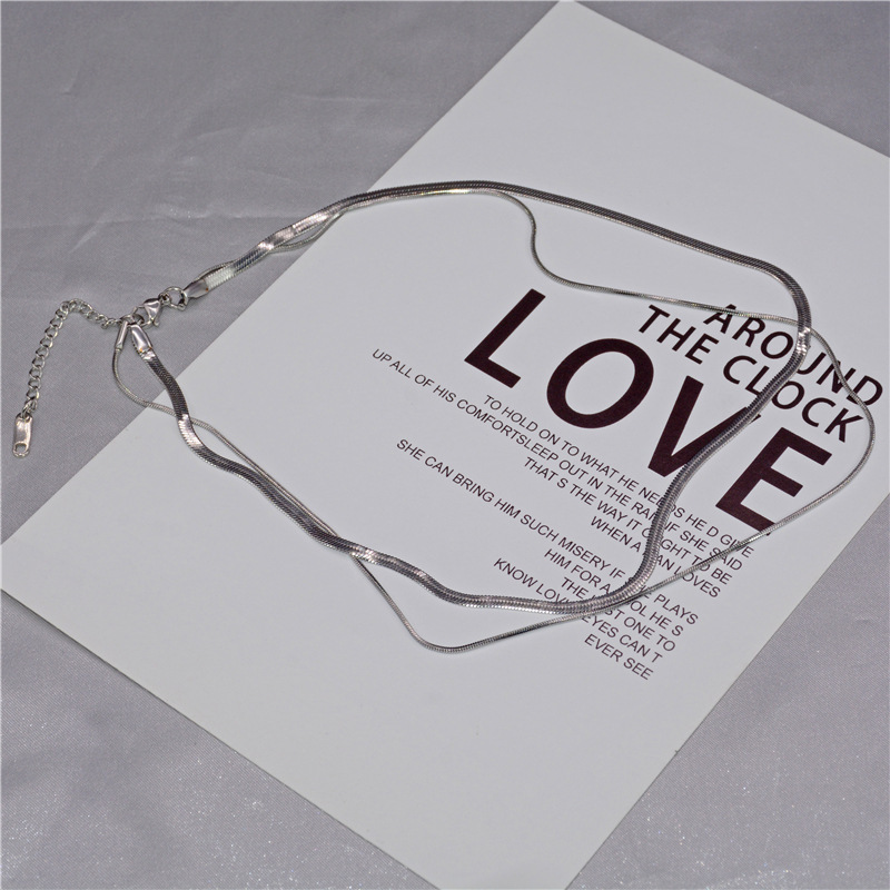 Double Layer Snake Chain Necklace In Silver Titanium Steel For Women_voghion.com