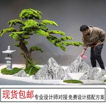 ɽʯ^ѩʯƬMʯ쾰҃45̩ɽɽˮͥԺղ16