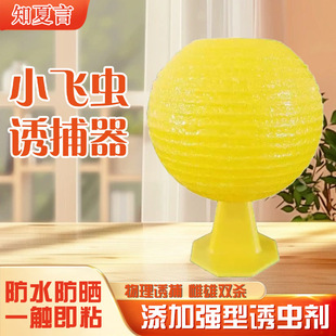 С�w�x�T�����T���Ϲ���ωᘷ��nω�҃Ȝ皢�����T�x��ճ�x���Ч