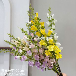���滨��֦�L�С��m�����l����ǧ���Ż��w��ݽ�����Y�üٻ�