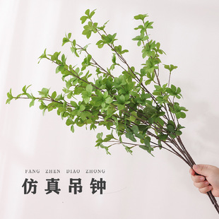 ���W����Gֲ���滨�ձ����R��֦�R��ľ�~�٘�֦�͏dֲ���b[��