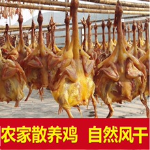 �����خa�L���u�G�Tʮ����L���u�D�u��ֻ���u���u�������D��