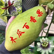 ̨�rһ̖������� ľ�ϚJ��9̖�S�������������ٹ��箔��Y��