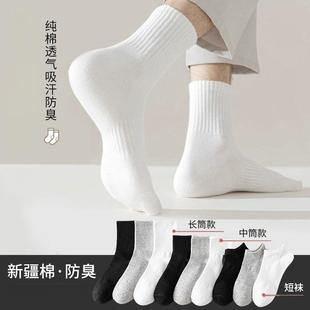 �ļ������m�����l��ʿ����������ɫ��Ͳ�����m�\�����m���mŮ���l