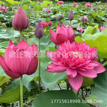 ���ͺɻ��N�ӳ���ˮ�B�ɻ��ļ�ɏź��������ɏ�������^�p��ɏ�N��