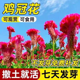�u�ڻ��N���҃����Pβ����׷N����ֲ���ļ����N�_���̨ͥԺ����