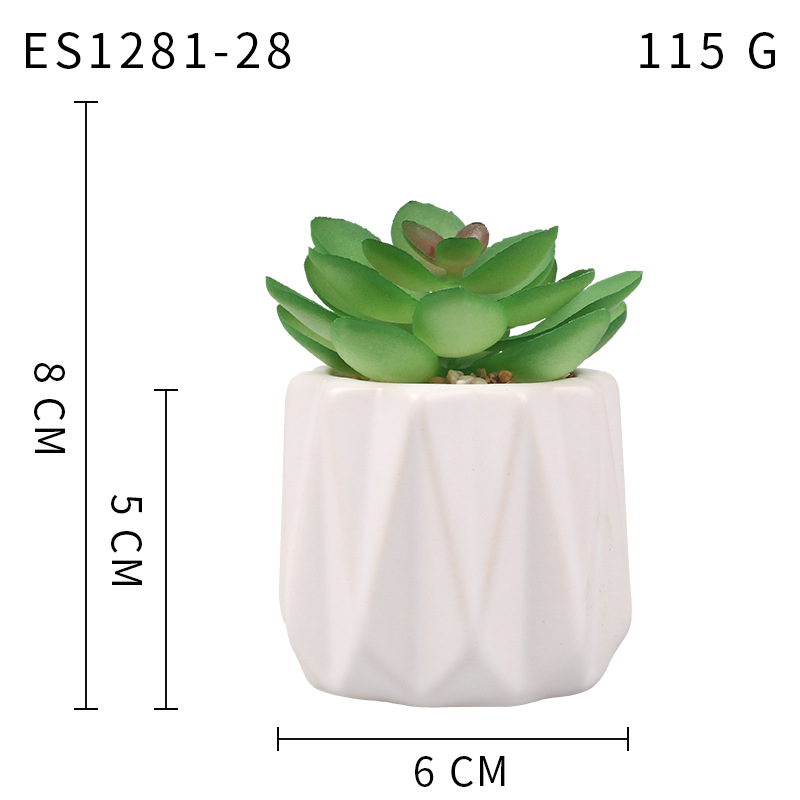 Pequeña ola al por mayor taza tipo simulación planta suculenta nórdico Muebles de Oficina Decoración fresca nuevo producto