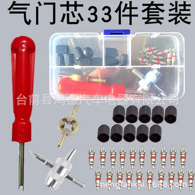 23Pcs Set Car and valve - 33pc-silver-alloy-valve-core-set