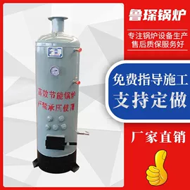 蒸汽发生器;燃煤锅炉;不脱硫除尘