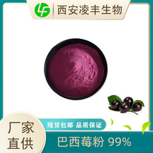 ����ݮ��99% 100g/�� ���F�������а���ݮ�����ظ��N���� �F؛