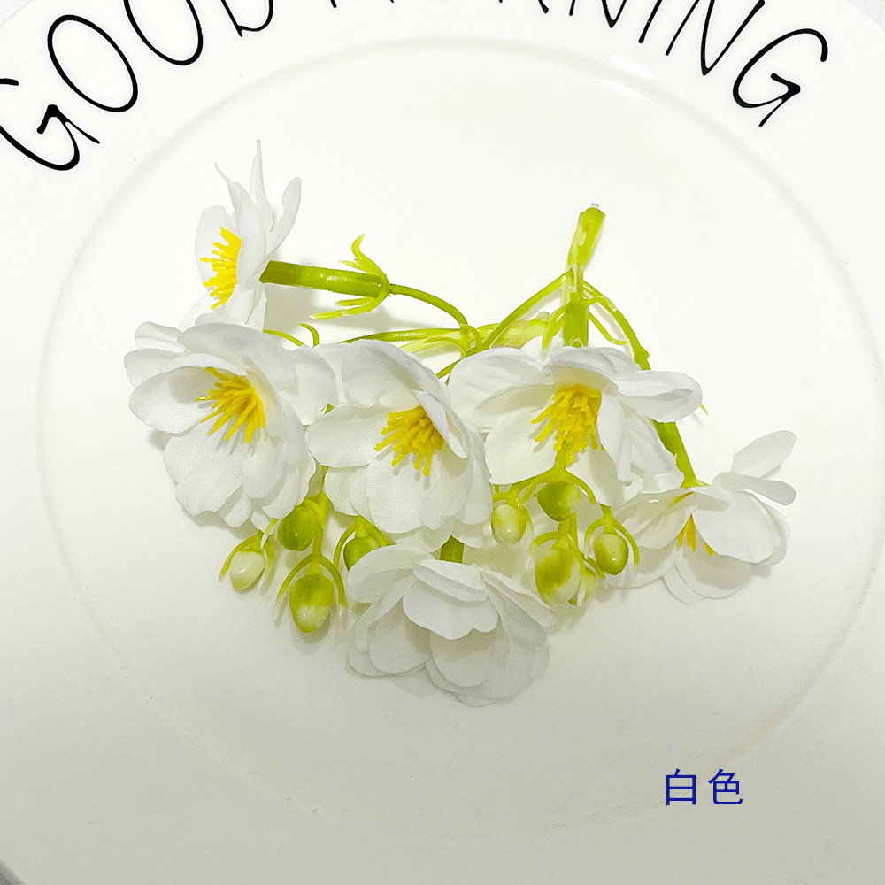 하얀색