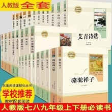 七八九年级必读的书籍骆驼祥子简爱儒林外史经典常谈昆虫记钢铁是