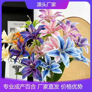 3D��ӡ�ٺϻ���c���滨���Ż���Y�Ƶ겼��·�����ٻ��쾰���컨