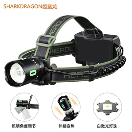 手电筒;头灯头戴电筒;提灯