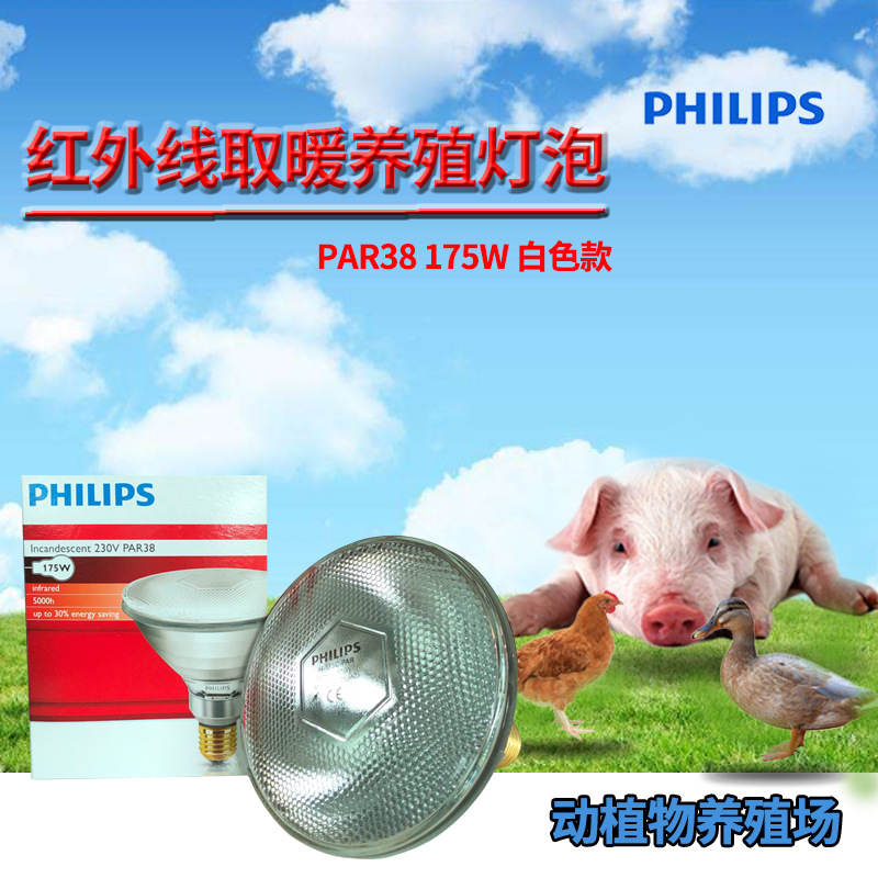 PHILIPS PAR38 175W 230V E27 Infrared Heating Animal and Livestock Farming Lamp
