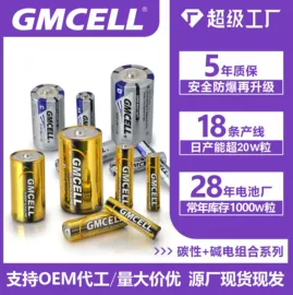 干电池;锂电池;充电电池