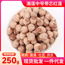 湖南湘莲中号带芯红莲250g干货无硫熏新鲜磨皮去芯莲子带芯红莲子