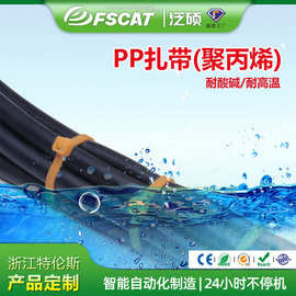 PPBK扎带耐酸碱高温扎带尼龙化工聚丙烯自锁式捆扎带水下束线带