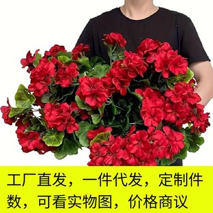 ���R�dTemu�羳���溣�Ļ��ٻ��b����ÿ��z�����Ļ�Y���շ��滨