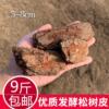 Pine bark rotten large pieces of fermented pine phosphorus cultivation matrix Dendrobium candid Dendrobium candidum plant material wholesale