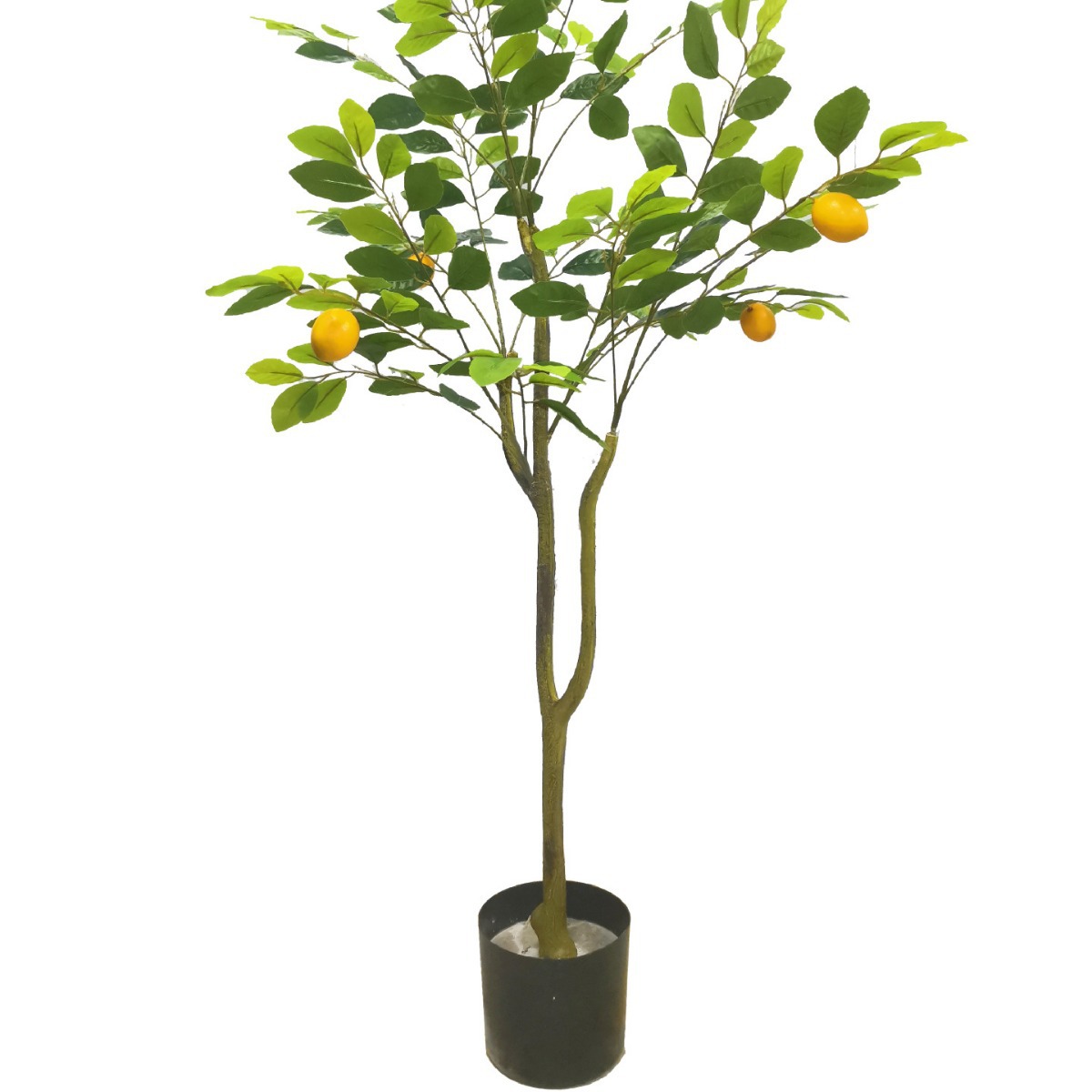 Simulación de limonero en maceta lemonTree Bonsai interior plástico pequeño árbol frutal planta verde Simulación de limonero