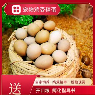 �������߻��u�W�ܾ�������׃���R���u��ϵ�t�u�J���u���l���N���F