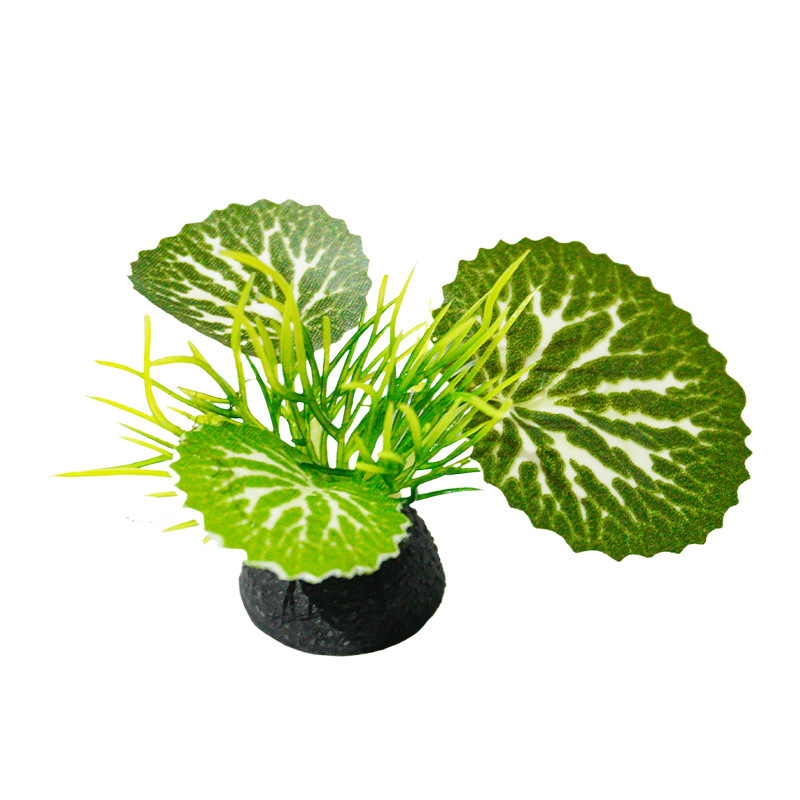 Decoración de paisajismo de peceras, plantas verdes de acuario, nuevas plantas pequeñas, adornos de plantas acuáticas, hojas verdes, suministro de helechos