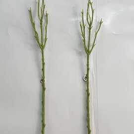 5头兰花枝56CM仿真花枝配件 DIY手捧花把束花装饰枝杆 厂家批发