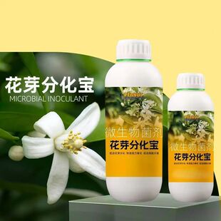 Distribution of Flower Bud Differentiation, Precious Fruits and Fruit Trees, Promoting Flower Bud Differentiation, Increasing Production and Income, Foliar Fertilizer, Flower and Fruit Production, Wholesale