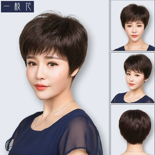 真发中老年假发女真发送妈妈中年女士短卷发轻薄逼真透气自然