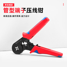 �羳���N�� ��߅�����Q���ӹ������b�Wʽ���ӹ�����Ͷ��^֧�ִ�