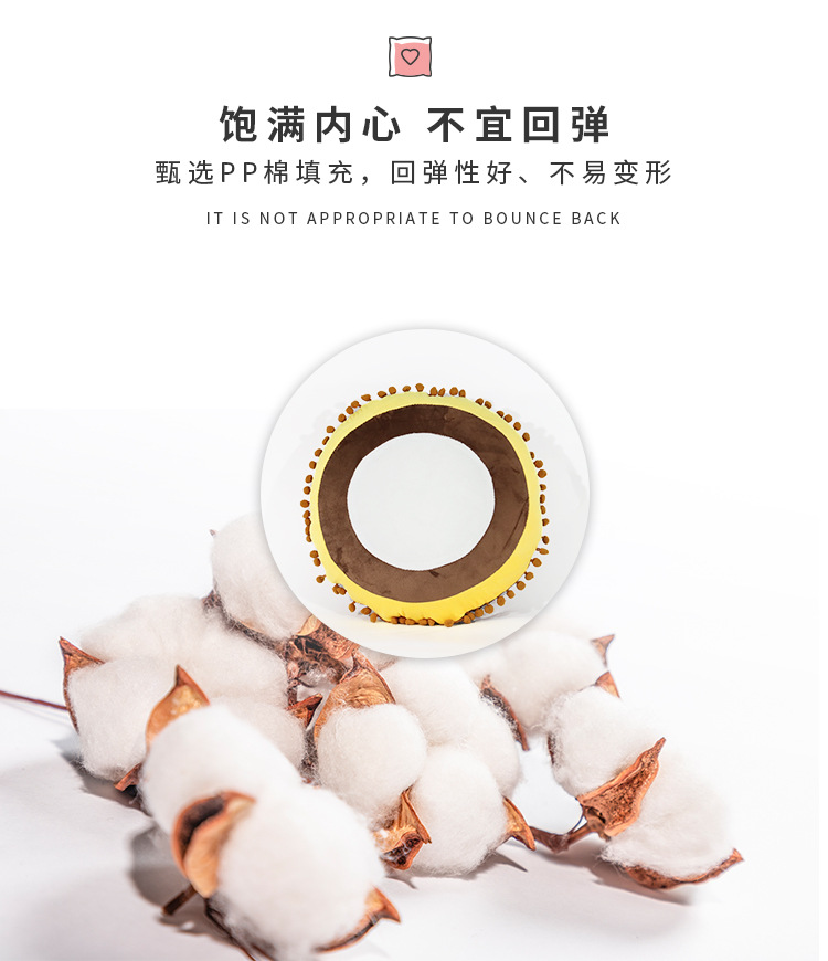 毛球圆形彩圈抱枕_04.jpg