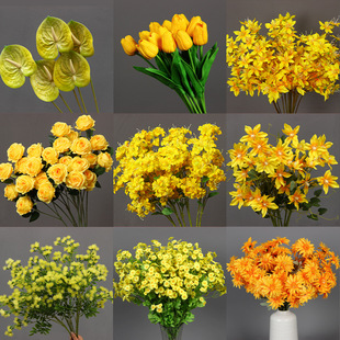 ���Sɫ���滨��c���� ��Y�����b��ļٻ��廨�ĵ���Sɫ��ˇ