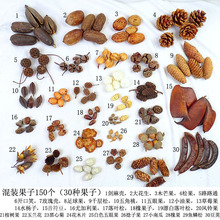 ɹɻɲϰ׃@ɹ[յ߽MbDIYֹ