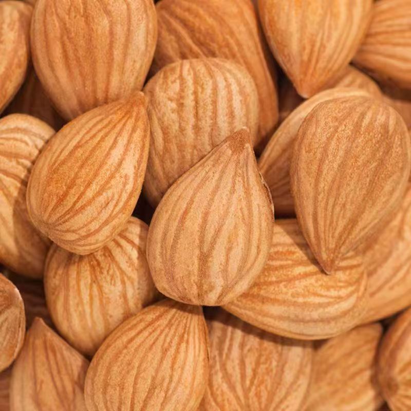 Peach Kernel Tao Ren 山桃仁 Dried Prunus persica Seed for TCM Decoctions 500g key features