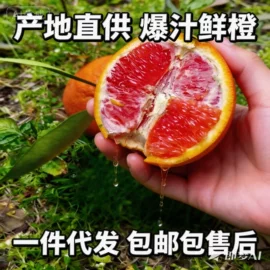 橙;柑桔;服务商品