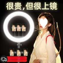 ���Ȧ�����Ę�����W�t���������O��22���֙Cֱ��֧���a���