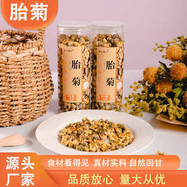 罐装胎菊清凉降火可搭配金银花枸杞决明子茶泡茶水厂家直营批发