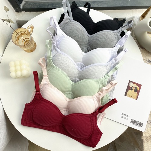 New style national clothing girls, high school and junior high school students, no steel ring to push up small breasts, college students, thin comfortable bra