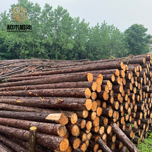 �S�ҹ���ɼľ�Uԭľ��ľľ�����G�����Ι_�l���o�ܗUɼľ����ľ