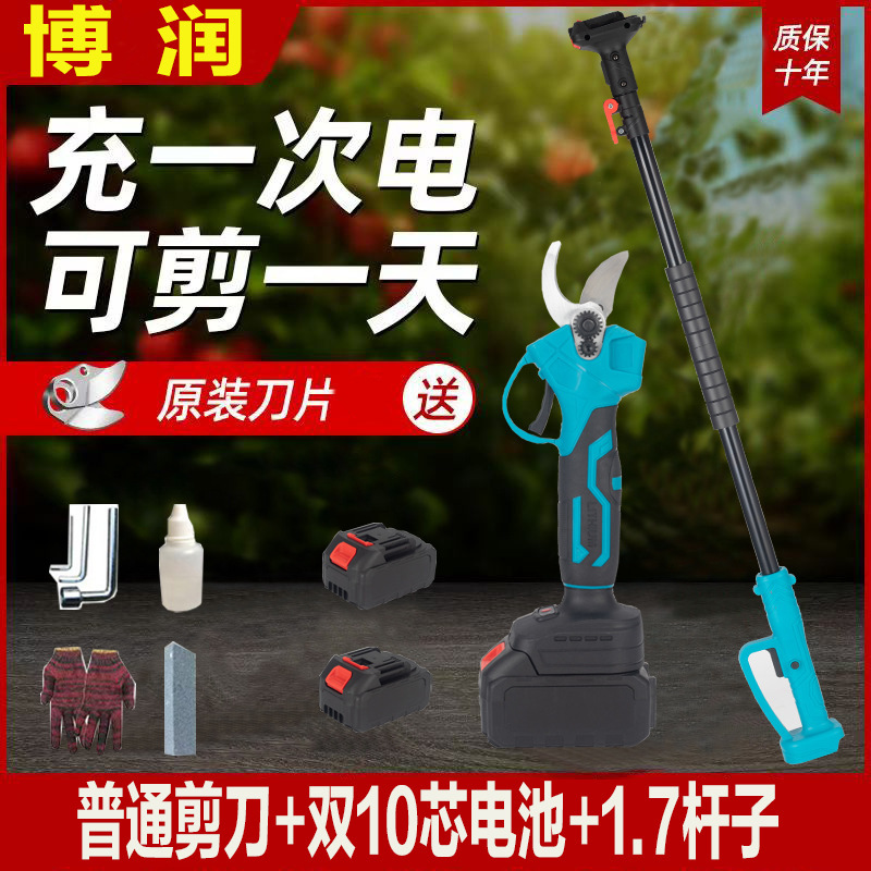 プロの国境を越えた電動剪定鋏、リチウム電池剪定鋏、庭の果樹の果実の枝はさみ、園芸の枝剪定電動工具|undefined