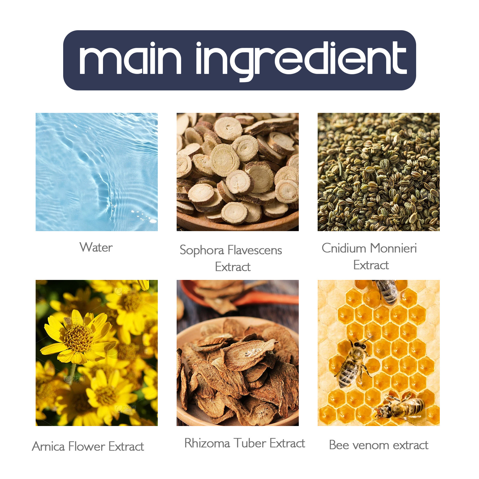 Bee Venom Joint Cream Image 4