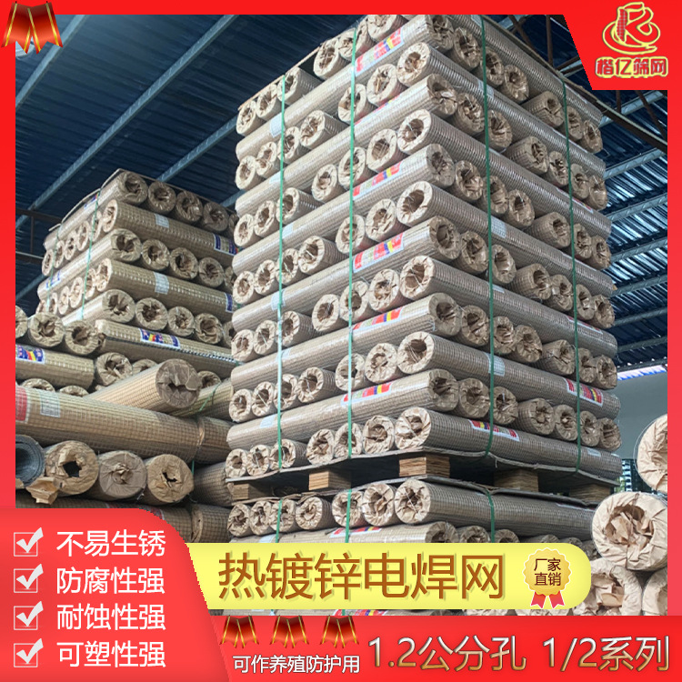 现货批发热钢丝镀锌电焊网建筑外墙保温防锈防护栏焊接铁丝网片草